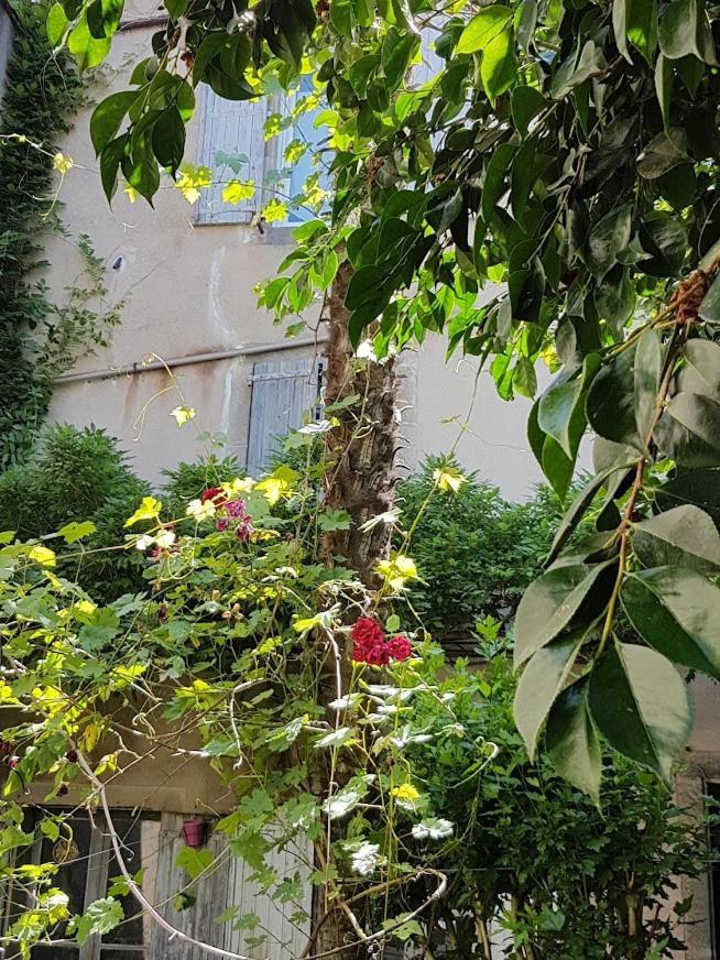 Chambre D'Hote La Passerelle Mazamet Bagian luar foto