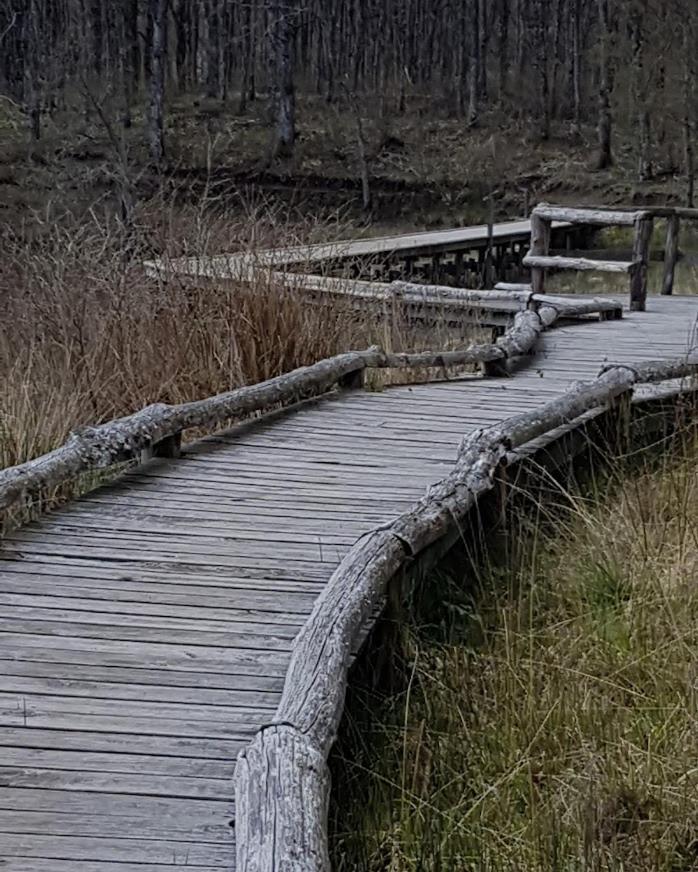 Chambre D'Hote La Passerelle Mazamet Bagian luar foto